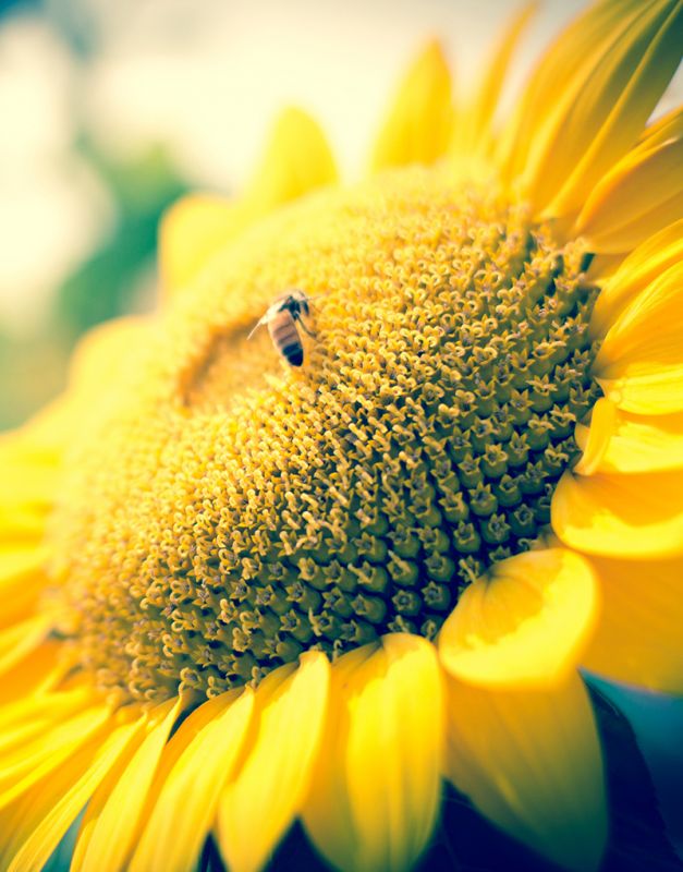 蛋價“開掛”漲勢點燃，7月上漲13%，8月雞蛋價格重 心再次上提