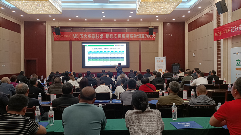 800市場會(huì)議